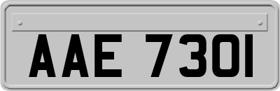 AAE7301