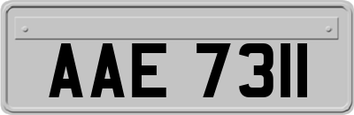 AAE7311