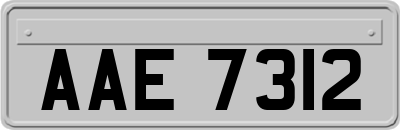 AAE7312