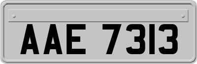 AAE7313