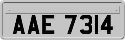 AAE7314