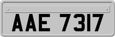 AAE7317