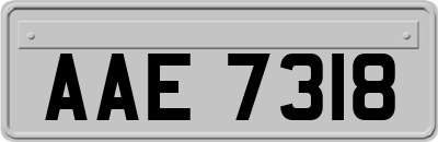 AAE7318