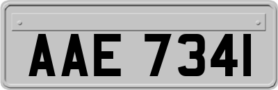 AAE7341