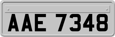 AAE7348