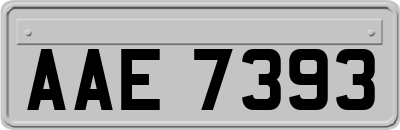 AAE7393