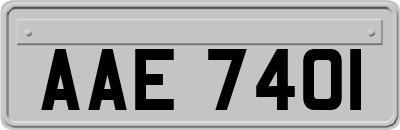 AAE7401