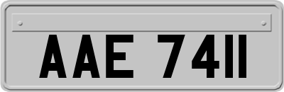 AAE7411