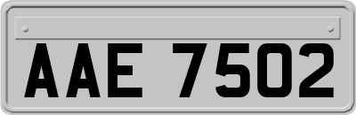 AAE7502