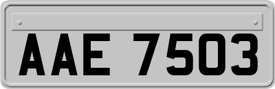 AAE7503