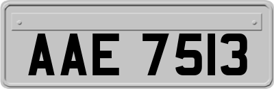 AAE7513