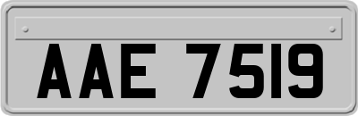 AAE7519