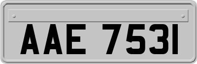 AAE7531