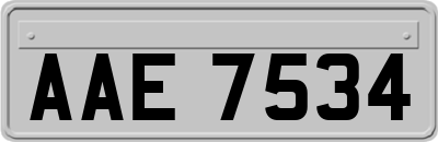 AAE7534