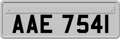 AAE7541