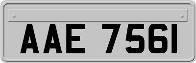 AAE7561