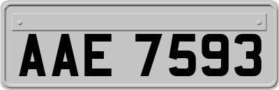 AAE7593