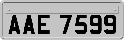 AAE7599