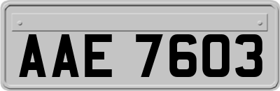 AAE7603