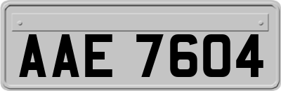 AAE7604