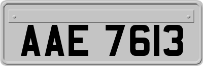 AAE7613