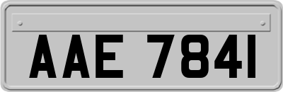 AAE7841