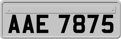 AAE7875