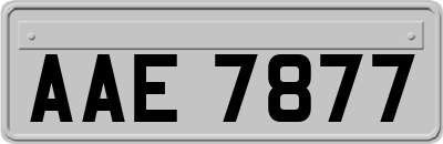 AAE7877