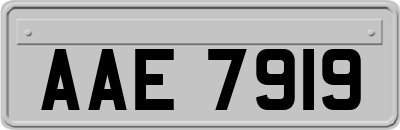 AAE7919