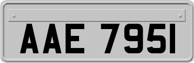 AAE7951