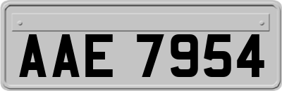 AAE7954