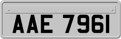 AAE7961