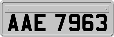 AAE7963