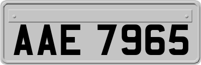 AAE7965