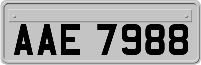 AAE7988