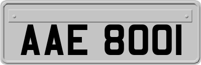 AAE8001