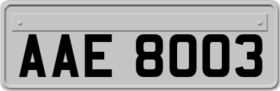 AAE8003