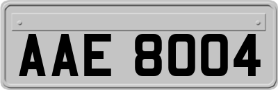 AAE8004