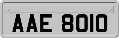 AAE8010