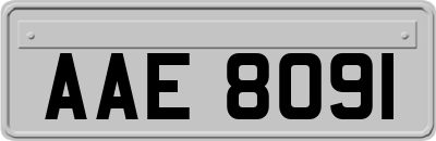 AAE8091