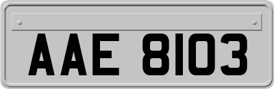 AAE8103