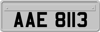 AAE8113