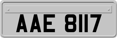 AAE8117