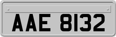 AAE8132