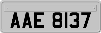 AAE8137