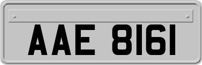 AAE8161