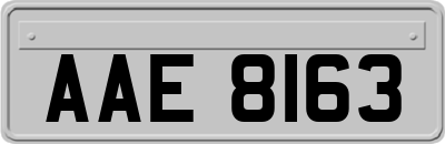 AAE8163