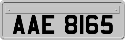 AAE8165