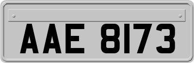 AAE8173