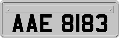 AAE8183